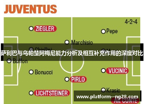 萨利巴与乌帕楚阿梅尼能力分析及相互补充作用的深度对比