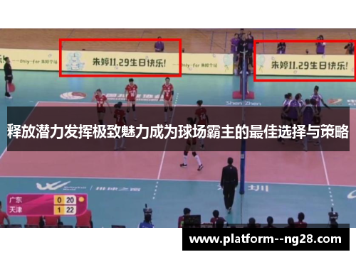 释放潜力发挥极致魅力成为球场霸主的最佳选择与策略